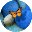 avatar.png